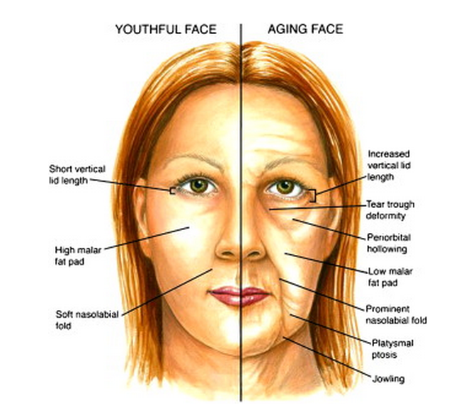 aging face cheeks