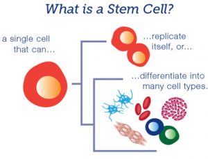 stem cell therapy dayton oh